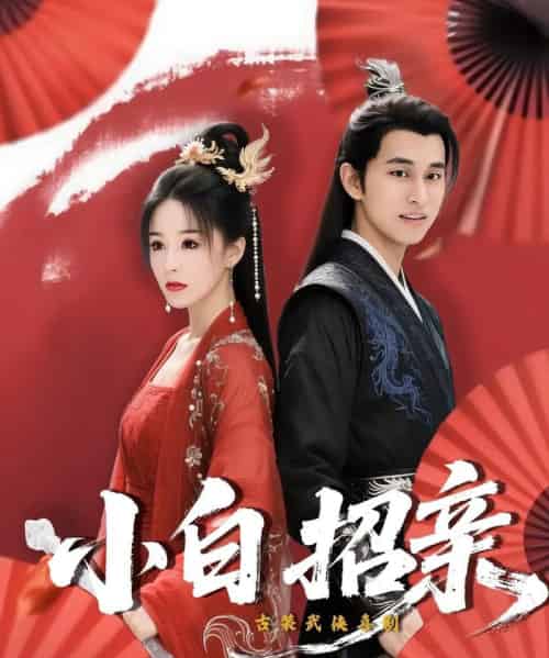 小白招亲 小白招亲