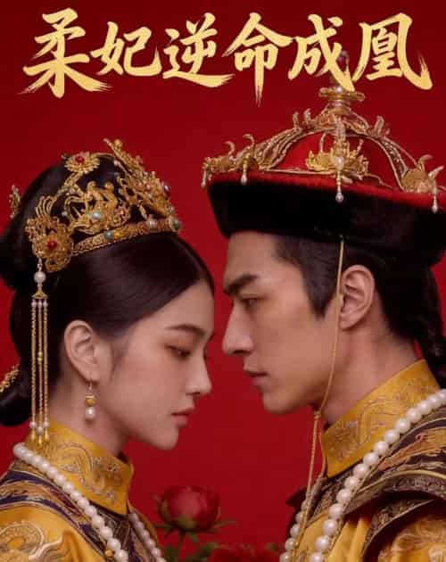柔妃逆命成凰（50集全）AI-紫橙网创项目网