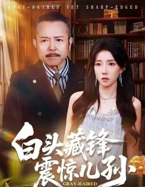 白头藏锋震惊儿孙（65集全）孟岳＆李百万-紫橙网创项目网