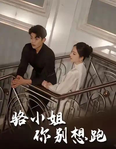 骆小姐你别想跑(30集全)隋佳&纪昱良&夏玄子-紫橙网创项目网
