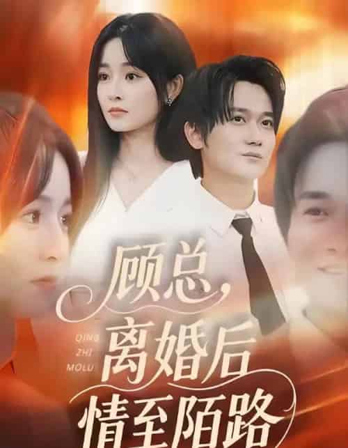 顾总，离婚后情至陌路（62集全）吴鑫＆顾嘉川＆张天维-紫橙网创项目网