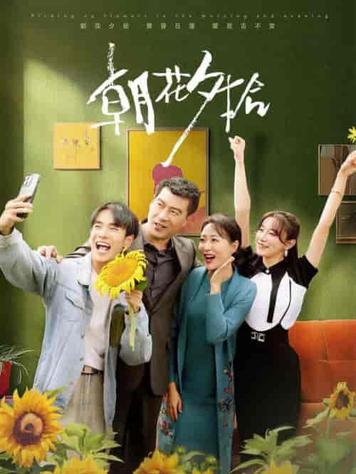 朝花夕拾（50集全）马铭婕 - 紫橙阁短剧