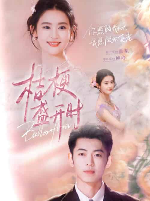 桔梗盛开时＆她的小桔梗（92集全）李泉成＆翟一莹 - 紫橙阁短剧