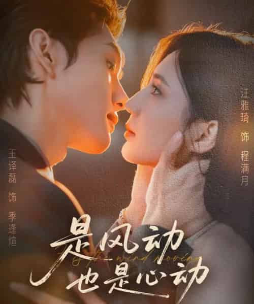 是风动也是心动（60集全）王译磊＆汪雅琦-紫橙网创项目网