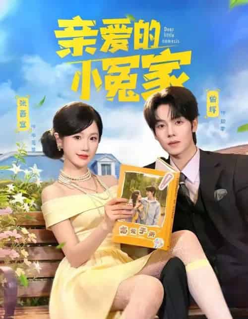 亲爱的小冤家(80集全)曾辉&张晋宜-紫橙网创项目网