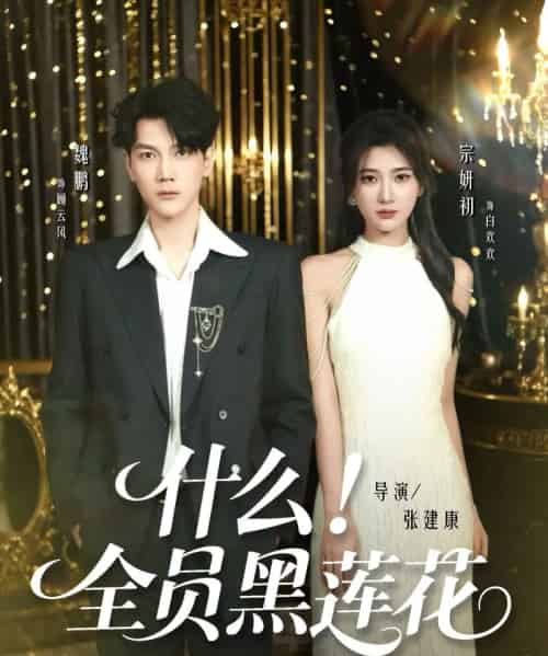 什么!全员黑莲花(60集全)魏鹏&宗妍初-紫橙网创项目网