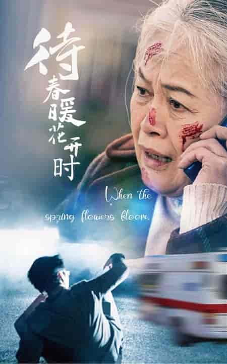 待春暖花开时（43集全） - 紫橙阁短剧