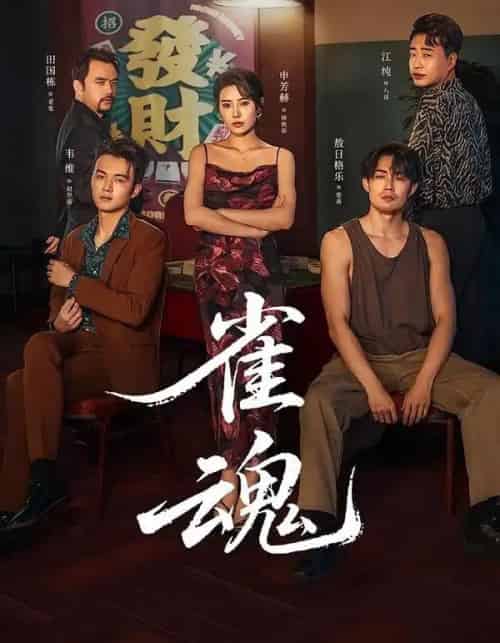 雀魂（60集全）申芳赫＆敖日格乐-紫橙网创项目网