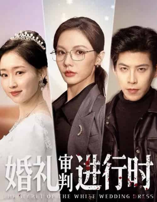 婚礼审判进行时（62集全）王为洋＆倪若芸-紫橙网创项目网