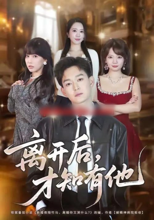 离开后,才知有他(73集全)刘子铭&陈小满-紫橙网创项目网
