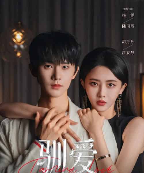 驯爱（80集全）杨泽＆胡丹丹-紫橙网创项目网