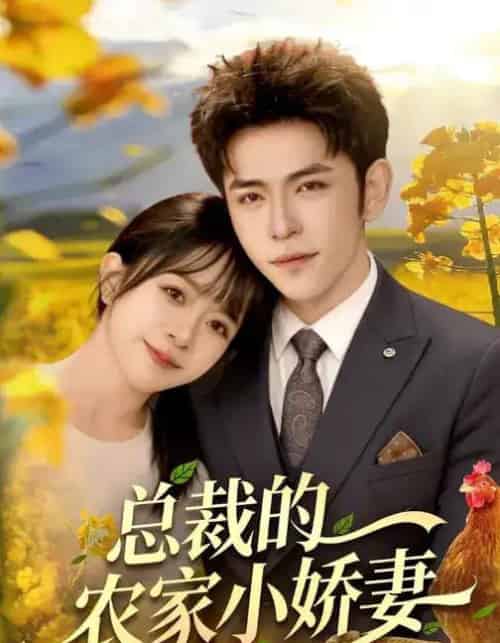 总裁的农家小娇妻（118集全）杨彦光＆林筱艾-紫橙网创项目网