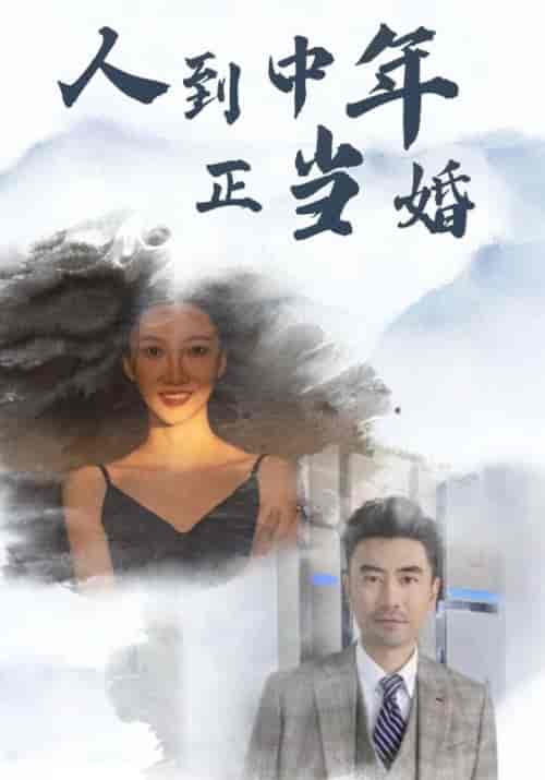 人到中年正当婚（81集全） - 紫橙阁短剧