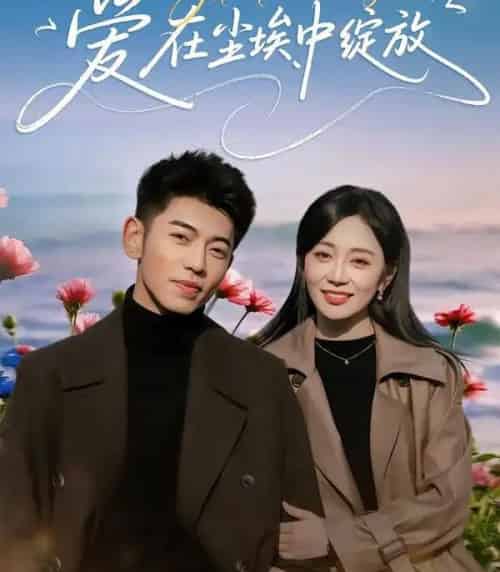 爱在尘埃中绽放(86集全)李泉成&姚宇晨-紫橙网创项目网