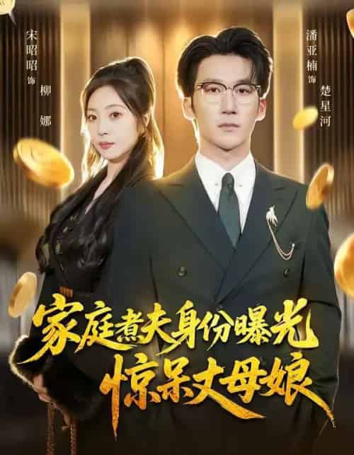 家庭煮夫身份曝光惊呆丈母娘（80集全）潘亚楠＆宋昭昭-紫橙网创项目网