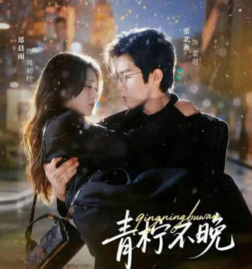 青柠不晚（78集全）郑晨雨＆张北淅-紫橙网创项目网