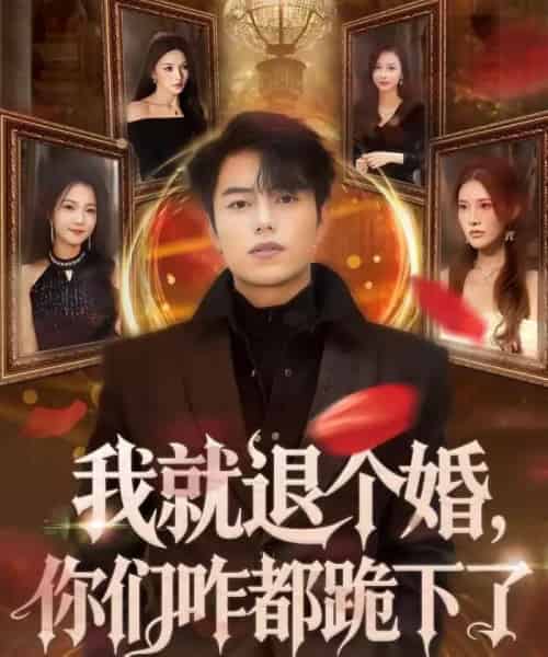 我就退个婚,你们咋都跪下了(66集全)韩宇宏&白淼-紫橙网创项目网