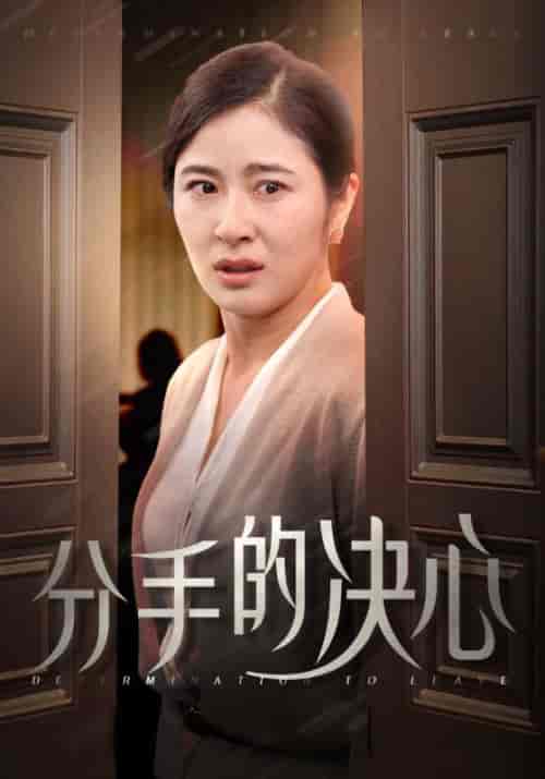 分手的决心（39集全）钟北海＆何金玉 - 紫橙阁短剧