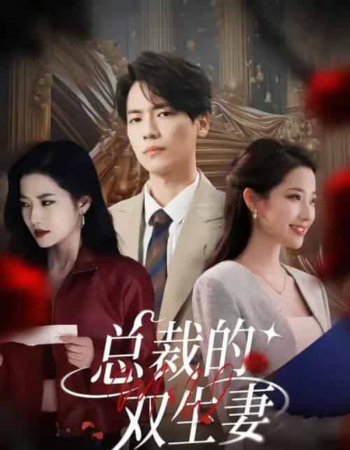 总裁的双生妻（76集全）段柒萱＆杰士鸣-紫橙网创项目网