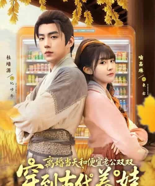 离婚当天,和便宜老公双双穿到古代养娃 离婚当天,和便宜老公双双穿到古代养娃