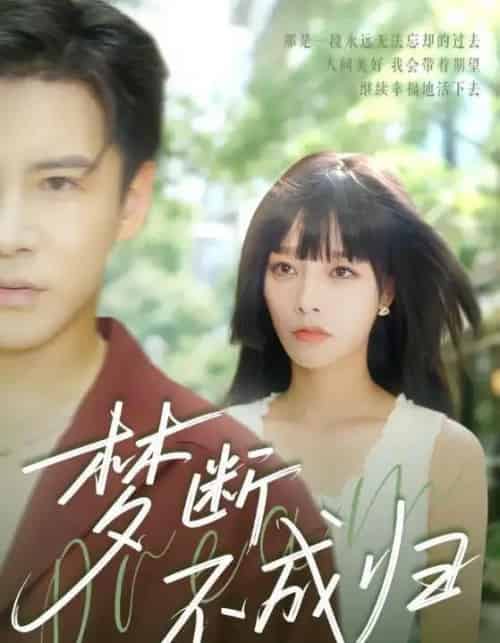 梦断不成归(61集全)李子锋&李胜楠-紫橙网创项目网