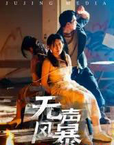 无声风暴（33集全）鄢子纶-紫橙网创项目网