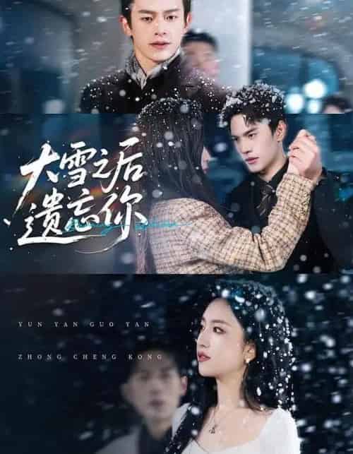 大雪之后遗忘你(82集全)夏玄子&武伯言-紫橙网创项目网