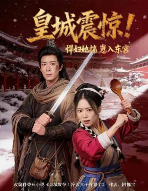 皇城震惊!悍妇她揣崽入东宫(53集全)向星雨&江十安-紫橙网创项目网