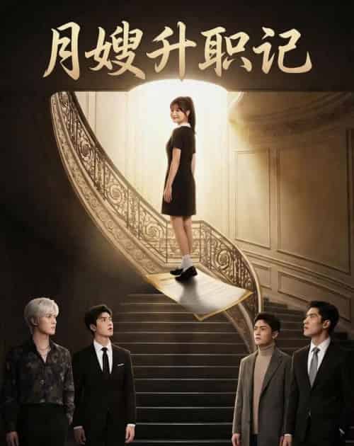 月嫂升职记(70集全)AI-紫橙网创项目网