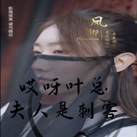 哎呀叶总夫人是刺客（79集） - 紫橙阁短剧