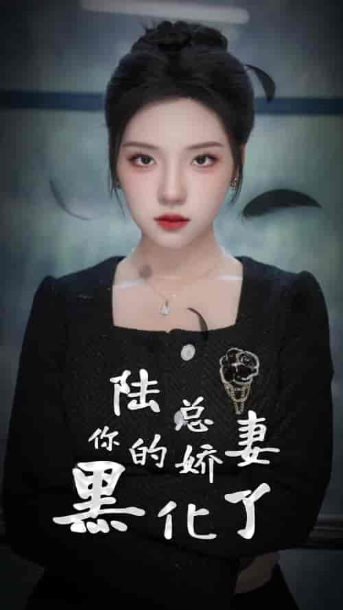 陆总,你的娇妻黑化了 陆总,你的娇妻黑化了