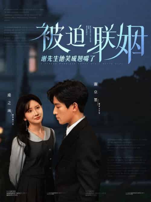被迫联姻谢先生他笑成翘嘴了（100集全）肖茜文 - 紫橙阁短剧