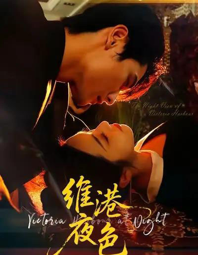 维港夜色&港城回响(106集全)陈钊翌&白雪茹-紫橙网创项目网