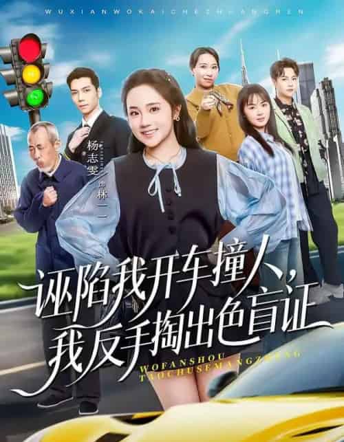 诬陷我开车撞人,我反手掏出色盲证(70集全)王俊杰&杨志雯-紫橙网创项目网