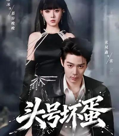 头号坏蛋（58集全）刘源＆李冰冰-紫橙网创项目网