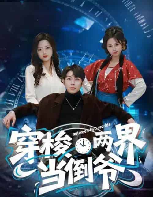 穿梭两界当倒爷（80集全）加菲猫＆郑天奇-紫橙网创项目网