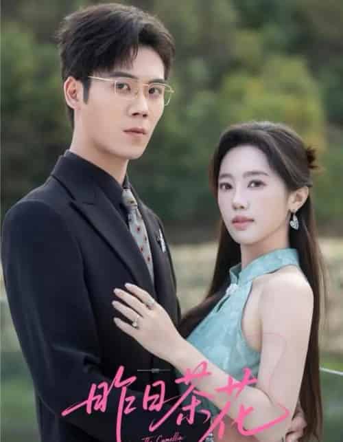 昨日茶花（56集全）许炎磊＆黄思宇-紫橙网创项目网