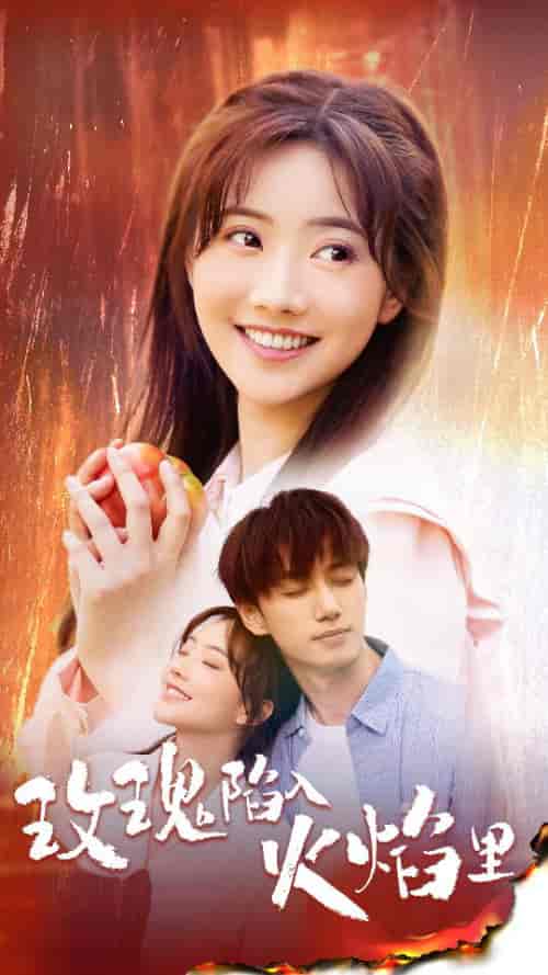 玫瑰陷入火焰里（60集）-紫橙网创项目网