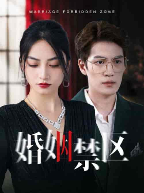 婚姻禁区（60集全） - 紫橙阁短剧