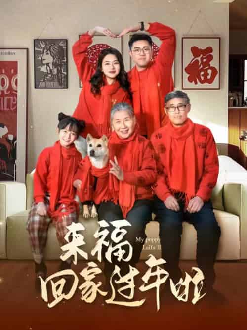 来福回家过年啦（34集） - 紫橙阁短剧