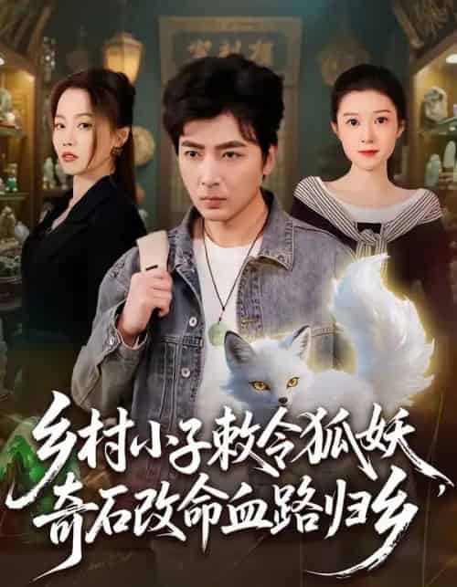 乡村小子敕令狐妖，奇石改命血路归乡（80集全）郑明洋＆杨雨欣-紫橙网创项目网