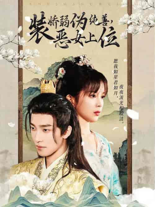 装娇弱伪纯善恶女上位（94集全）姚冠宇 - 紫橙短剧