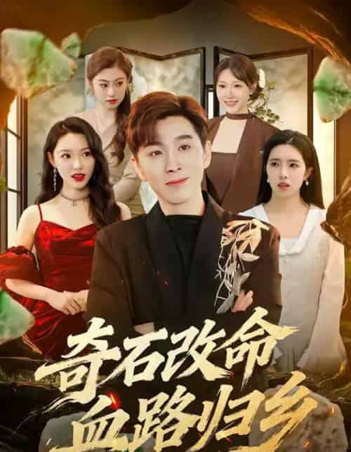奇石改命血路归乡（81集全）胡程耀＆薛薛-紫橙网创项目网