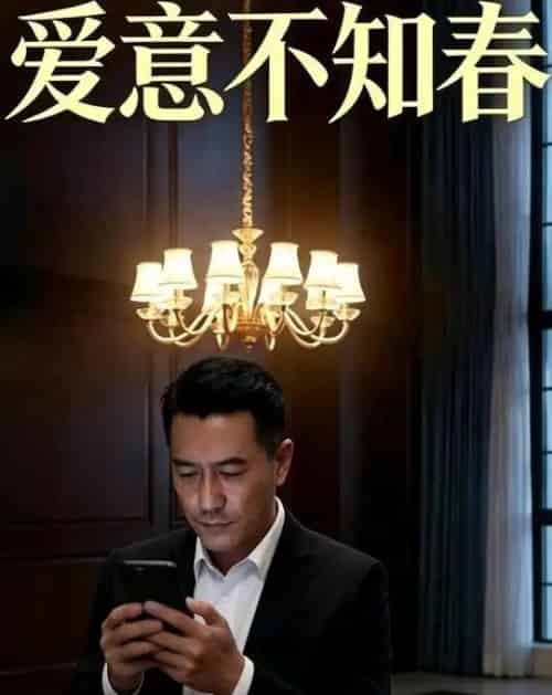 爱意不知春（32集全）AI-紫橙网创项目网