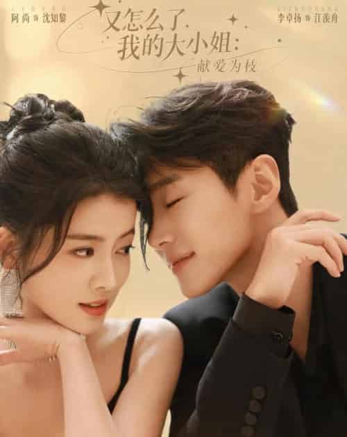 又怎么了,我的大小姐:献爱为枝(60集全)李卓扬&阿尚(魏江)-紫橙网创项目网
