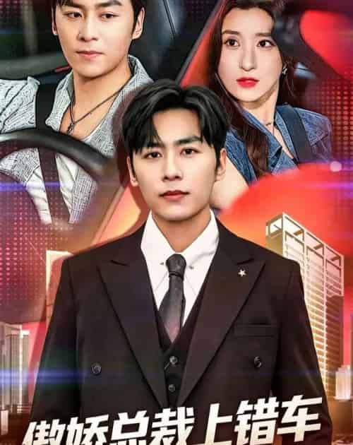 傲娇总裁上错车(75集全)邓威&魏梦迪-紫橙网创项目网