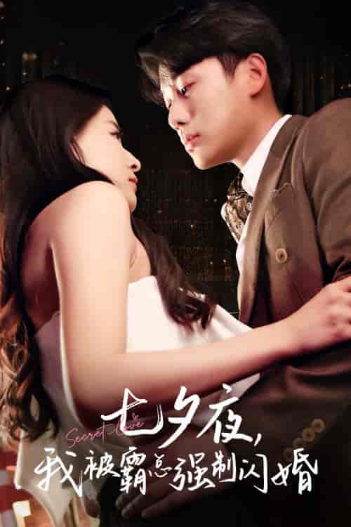 七夕夜我被霸总强制闪婚（77集）-紫橙网创项目网