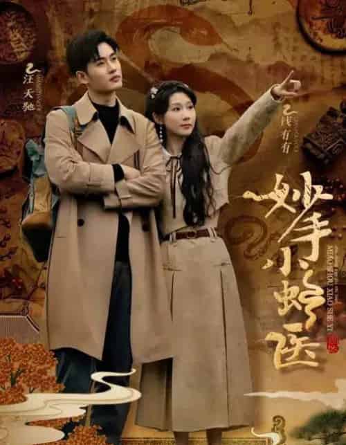 妙手小蛇医(12集全)易恒&曹嘉怡&彭慧玲-紫橙网创项目网
