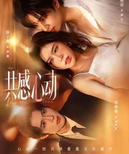 共感心动（66集全）侯朋岩＆薛子祺-紫橙网创项目网