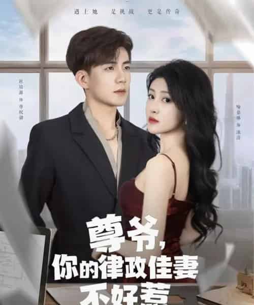 尊爷你的律政娇妻不好惹 尊爷你的律政娇妻不好惹